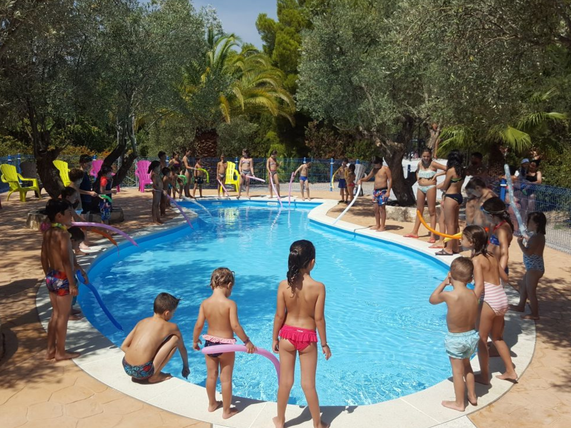 Piedra Artificial Piscina